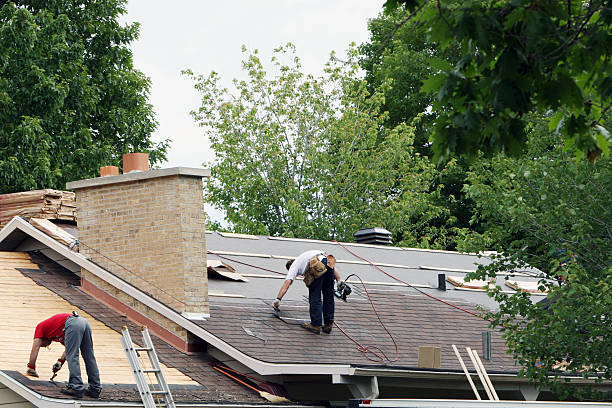 Roof Gutter Cleaning in Cove Creek, NC
